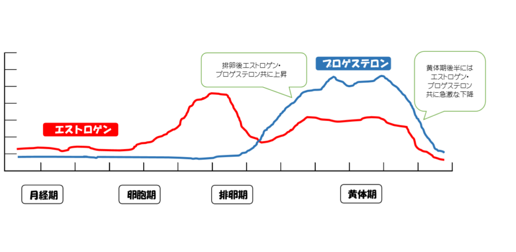 画像に alt 属性が指定されていません。ファイル名: 図2-1024x500.png